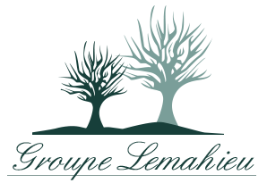 Groupe Lemahieu